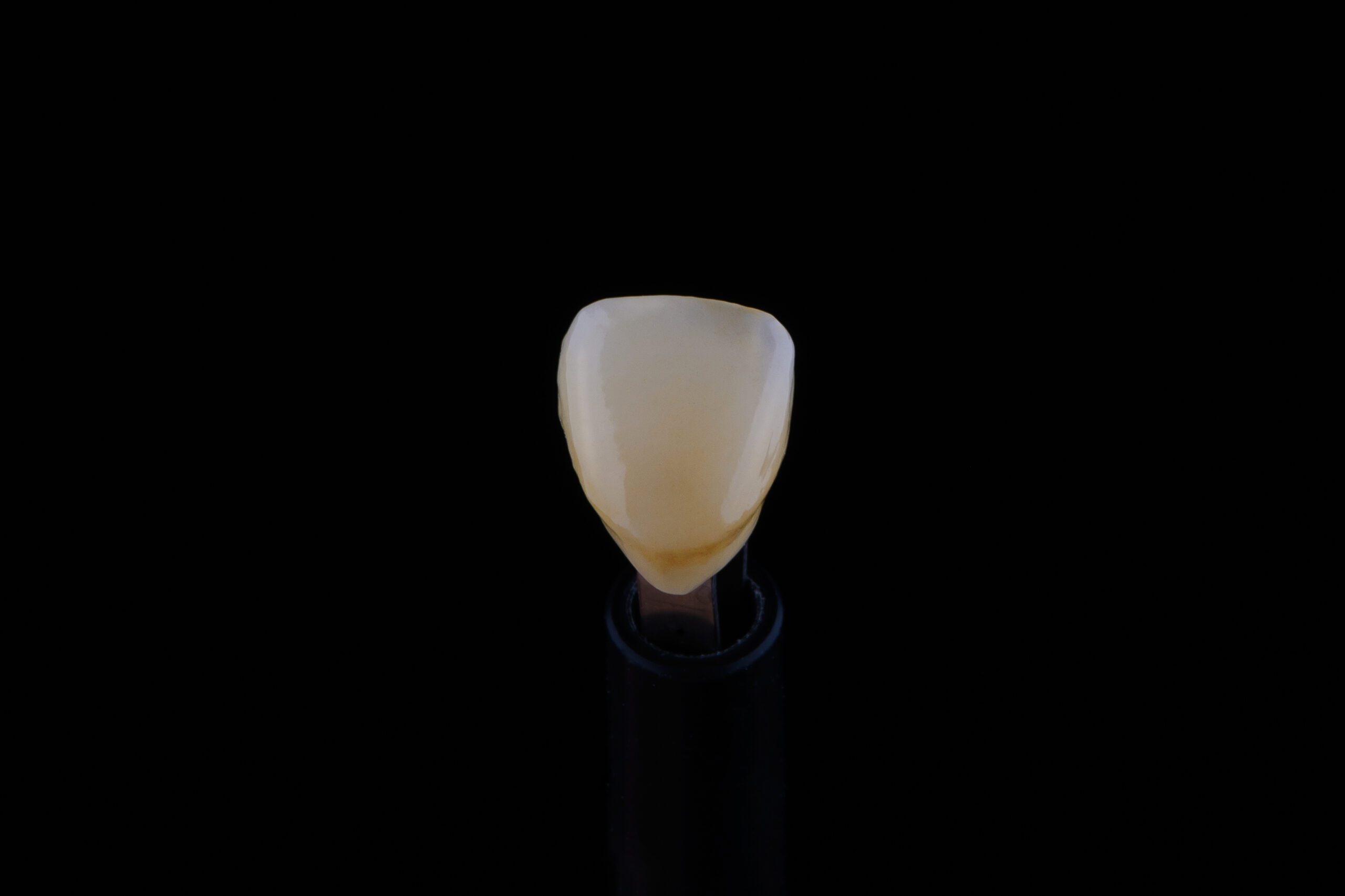 Close up shot of ultra thin dental zirconium crown is held with tweezers with black background.